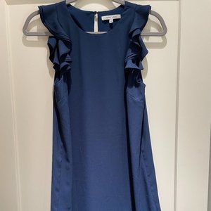 Naked Zebra Navy Dress